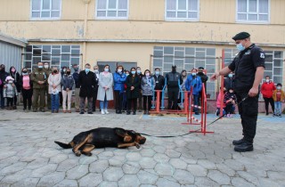 PLAZA DE JUSTICIA EN PORVENIR2
