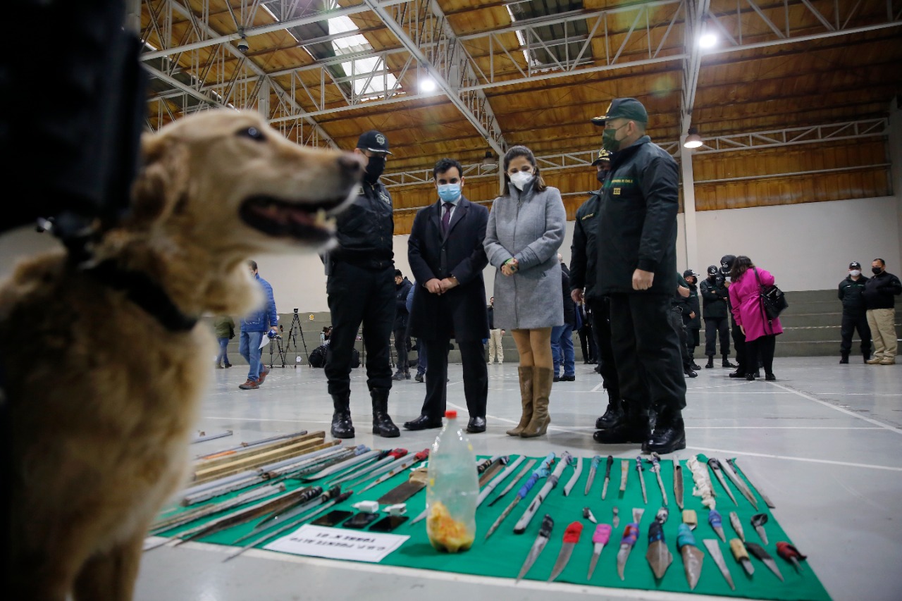 Allanamiento_Genchi_2