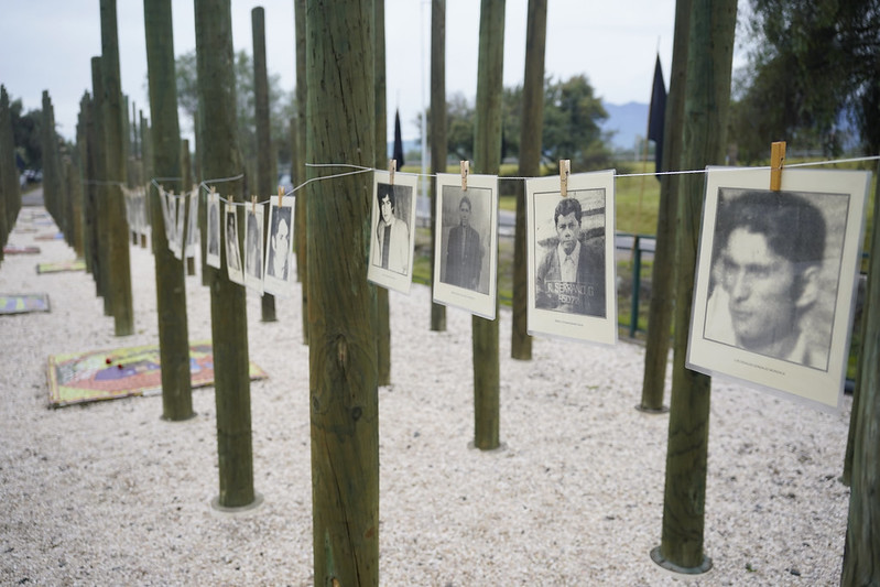 53213654849_7ce5824697_c