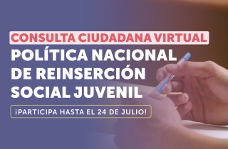 Header_Nota_Reinsercion_consulta