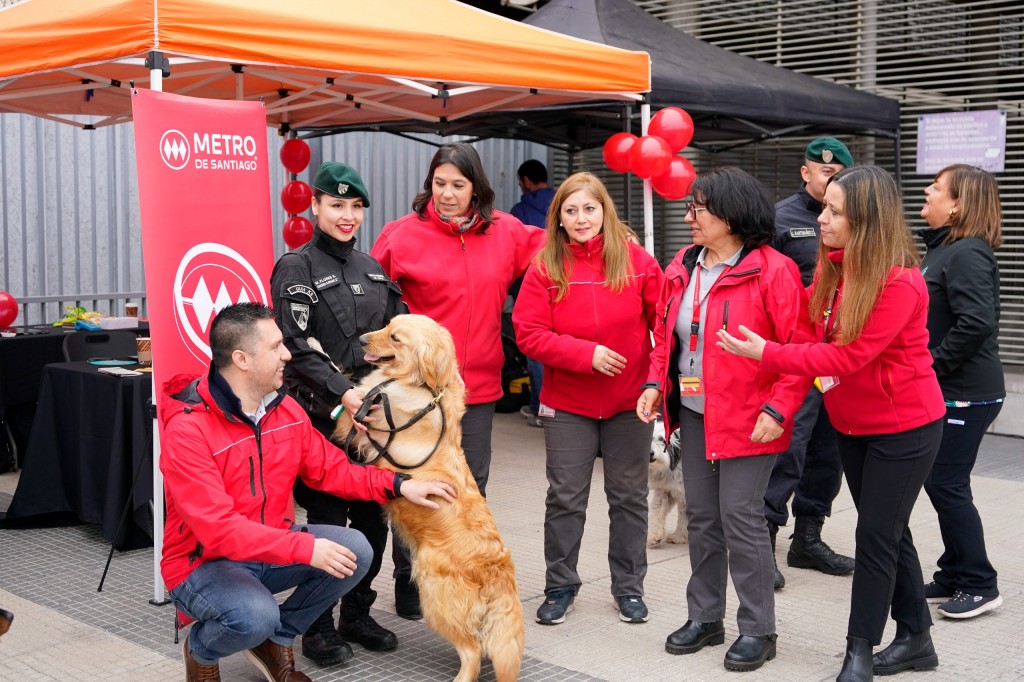 WhatsApp Image 2024-10-11 at 13.16.03