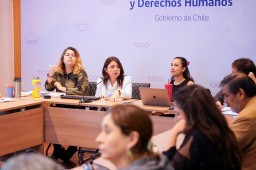 Comite-Directivo-PNUD-4