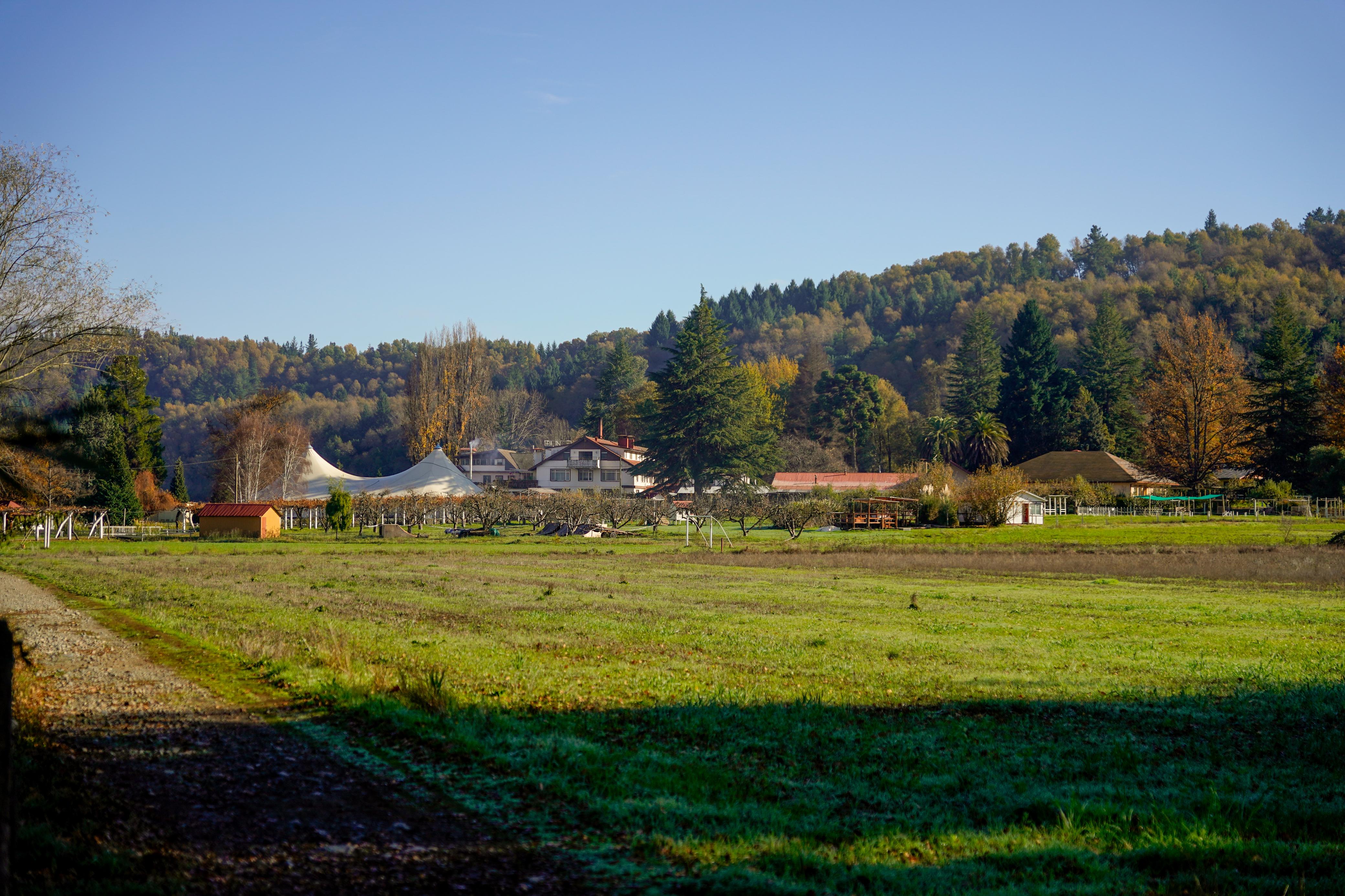 ColoniaDignidad_23mayo2025_09